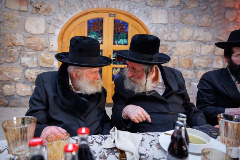 דניאל נפוסי