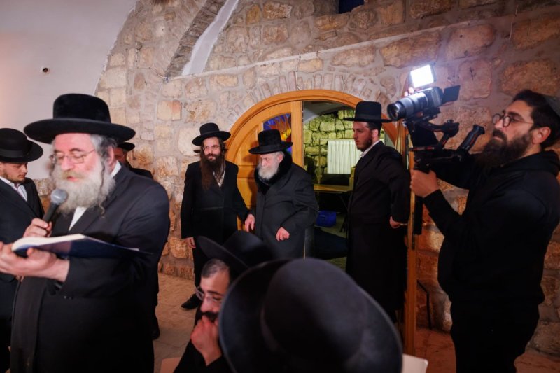דניאל נפוסי