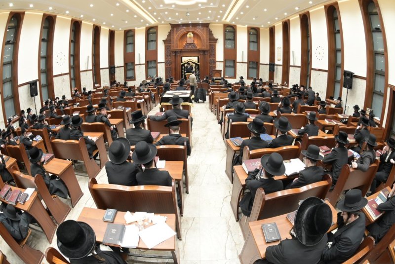 שוקי לרר