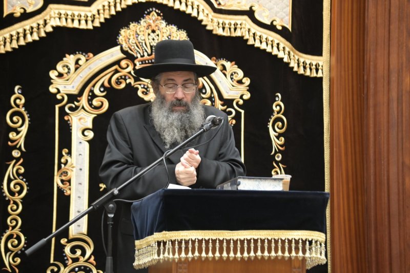 שוקי לרר