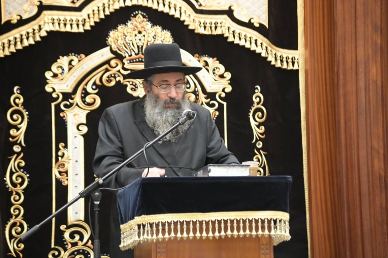 שוקי לרר