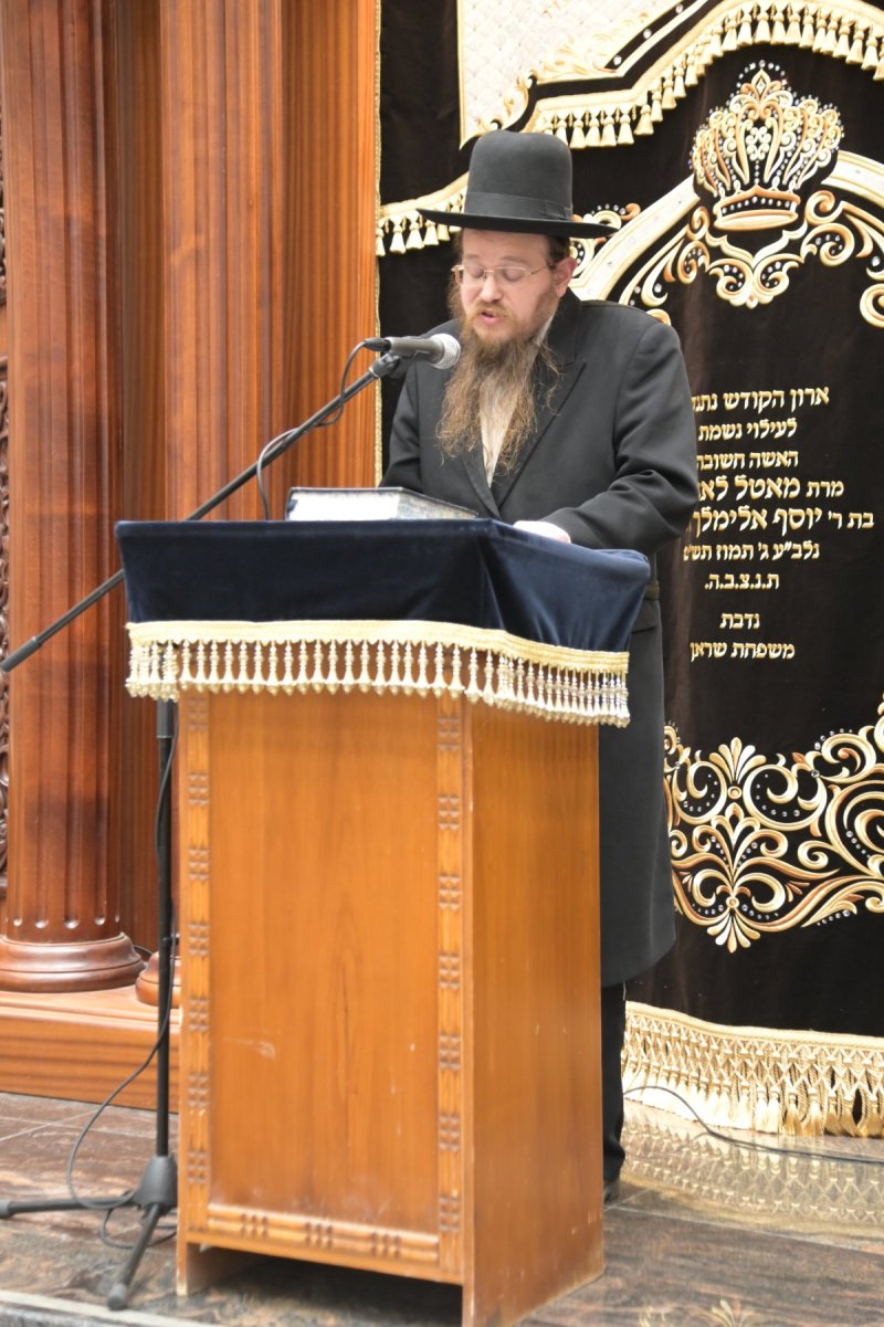 שוקי לרר