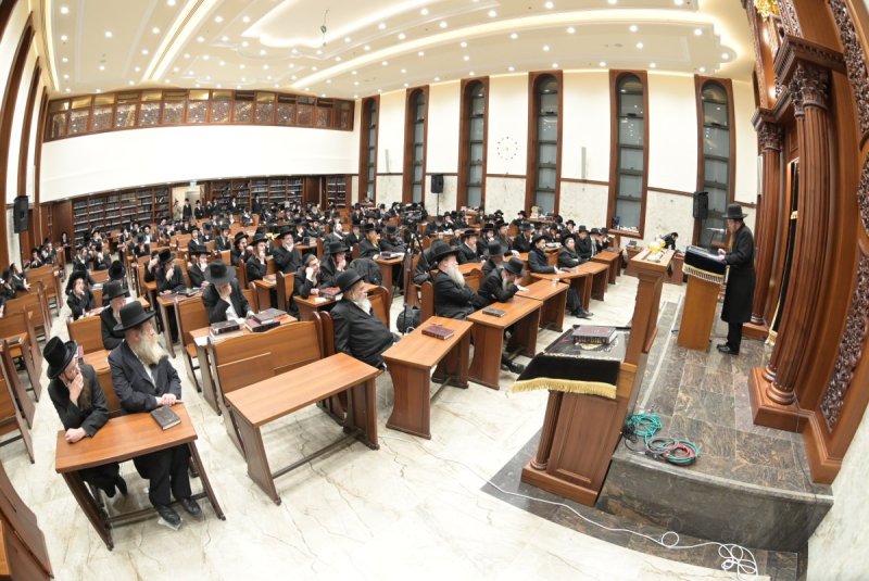 שוקי לרר