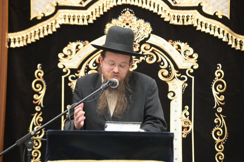שוקי לרר