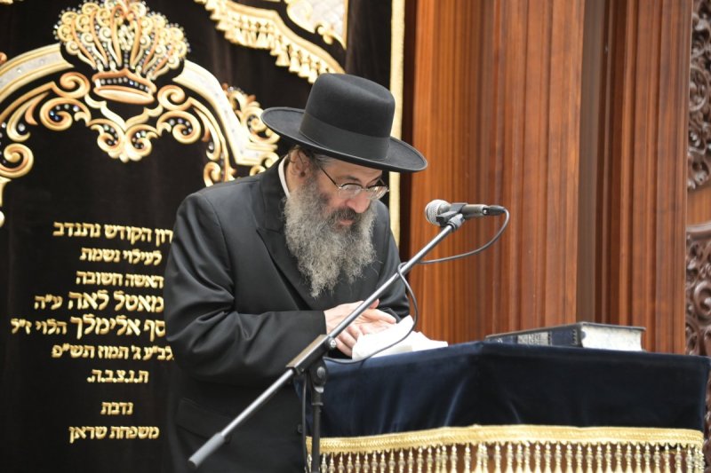 שוקי לרר