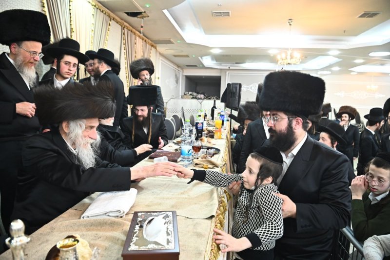 שוקי לרר