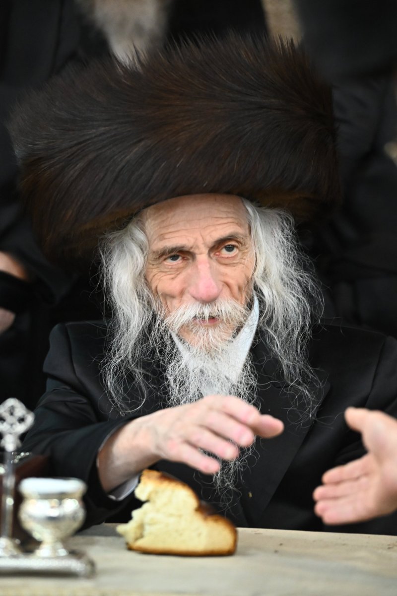 שוקי לרר