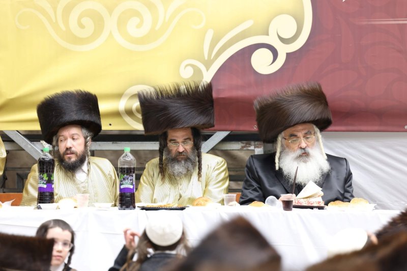 שמואל דריי