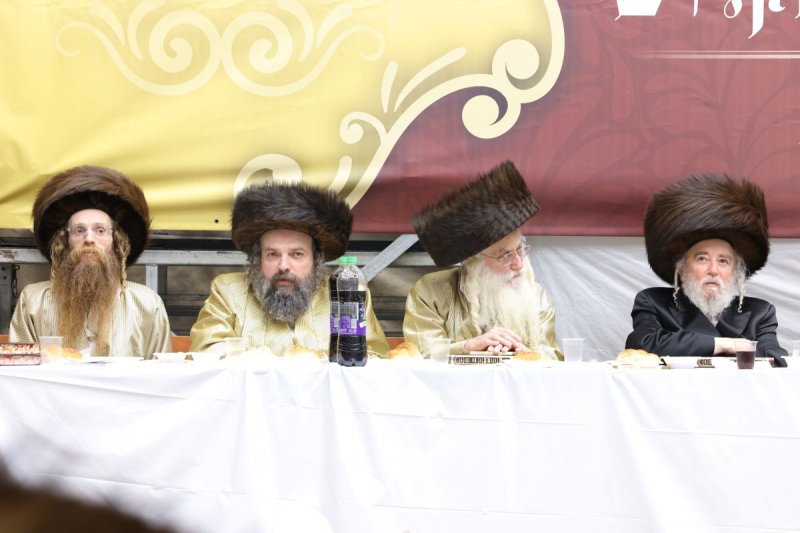 שמואל דריי