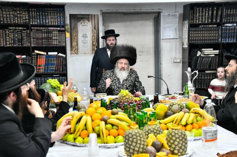 שוקי לרר