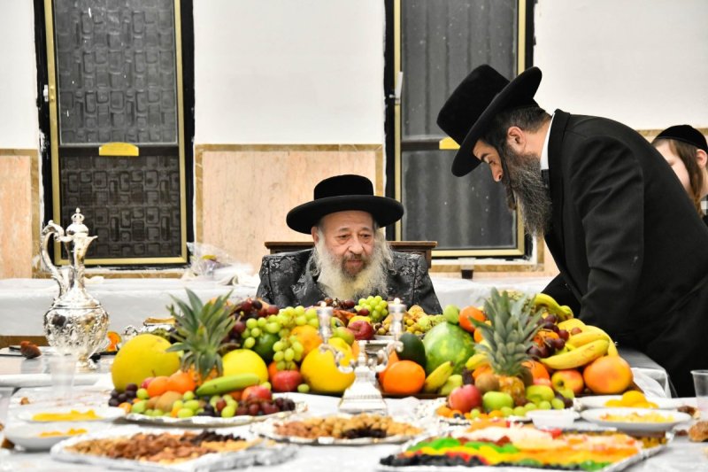 שוקי לרר