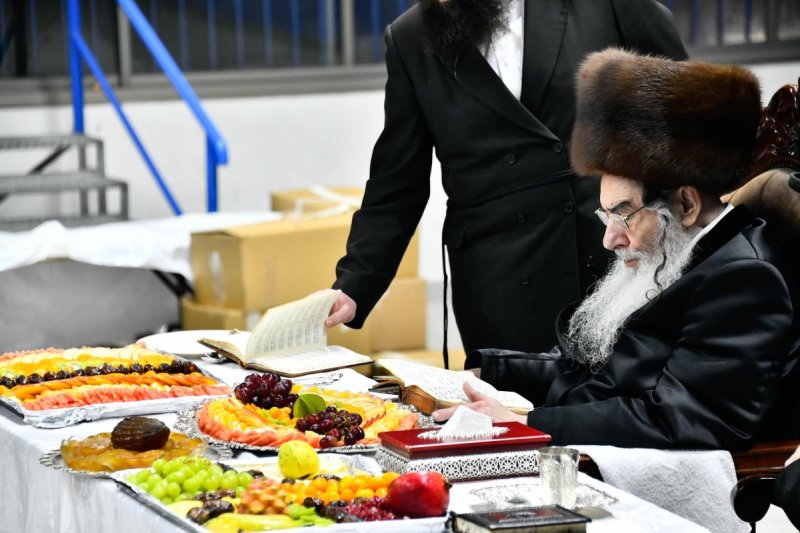 שוקי לרר