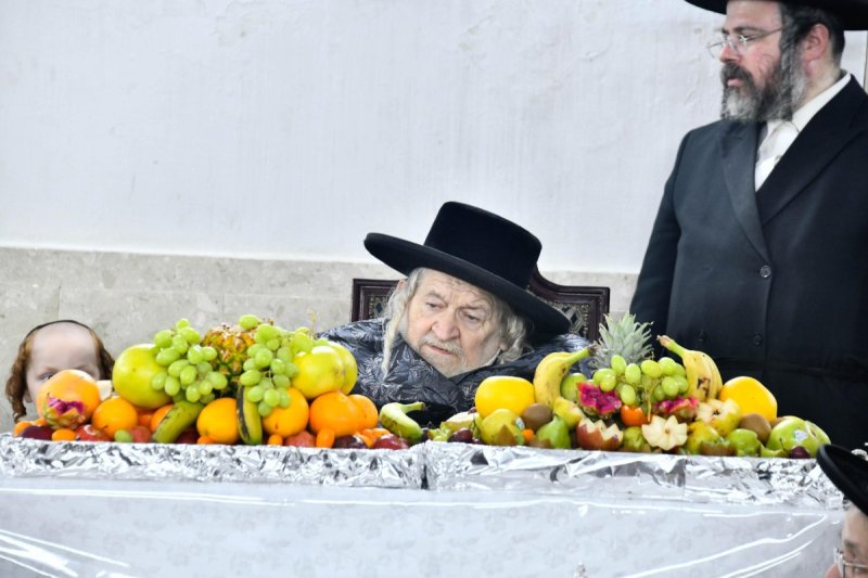 שוקי לרר