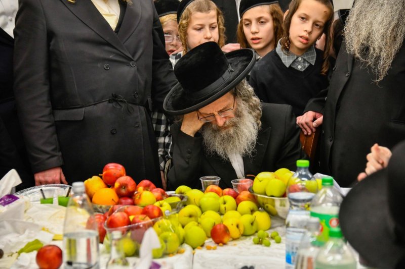 שוקי לרר