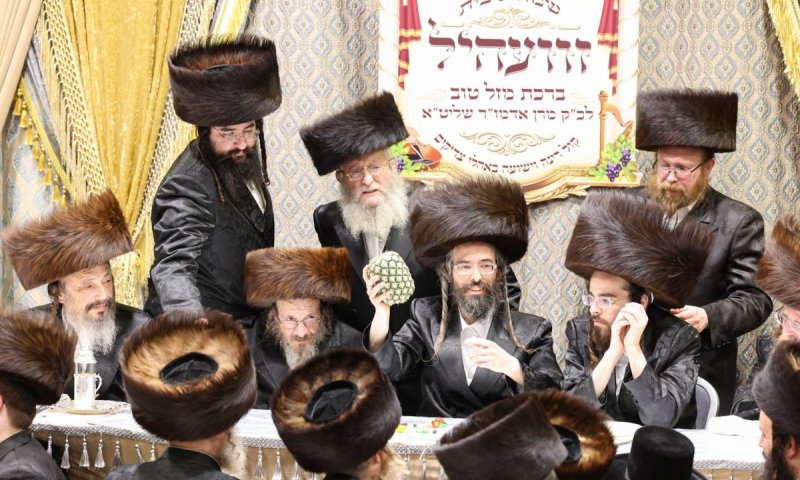 בשילוב שבע ברכות: כך נראה ט"ו בשבט בחצר זוועהיל