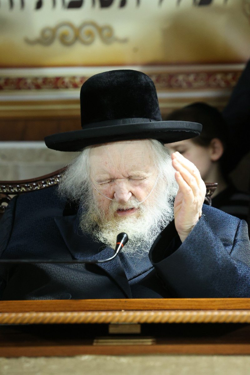 דוד ארזני
