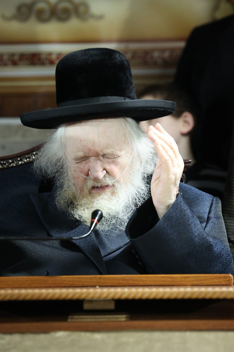 דוד ארזני