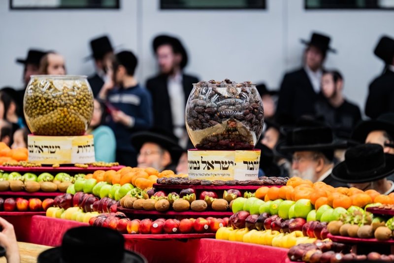 בחצרות סאטמר