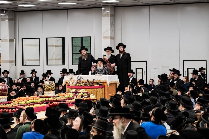 בחצרות סאטמר