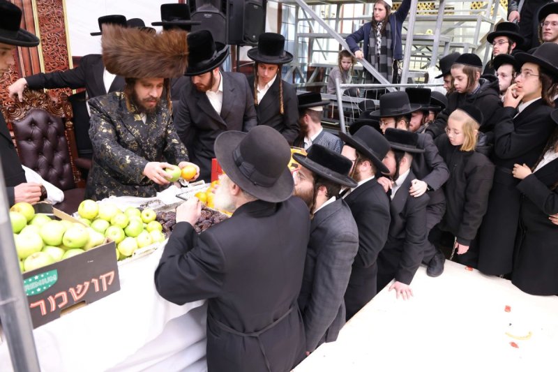 שמואל דריי