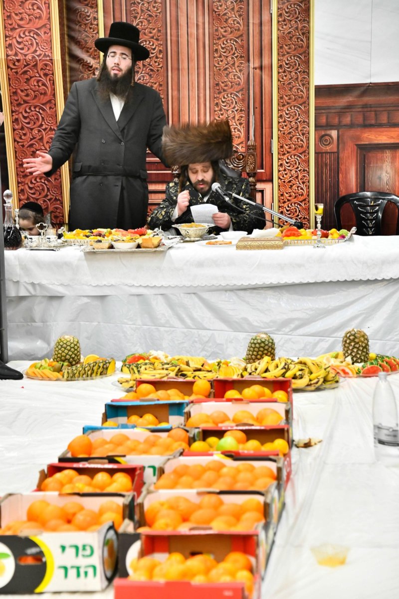 שוקי לרר