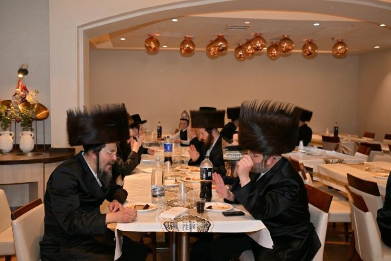 יהושע פרוכטר