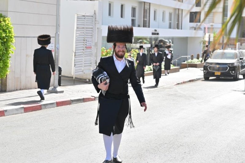 יהושע פרוכטר
