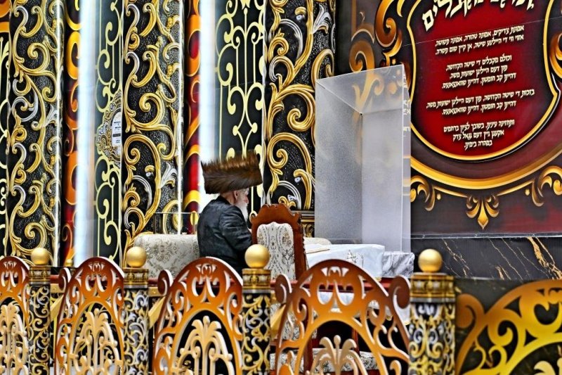 יהושע פרוכטר