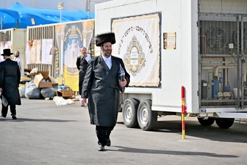 יהושע פרוכטר
