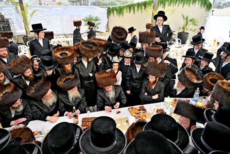 יהושע פרוכטר