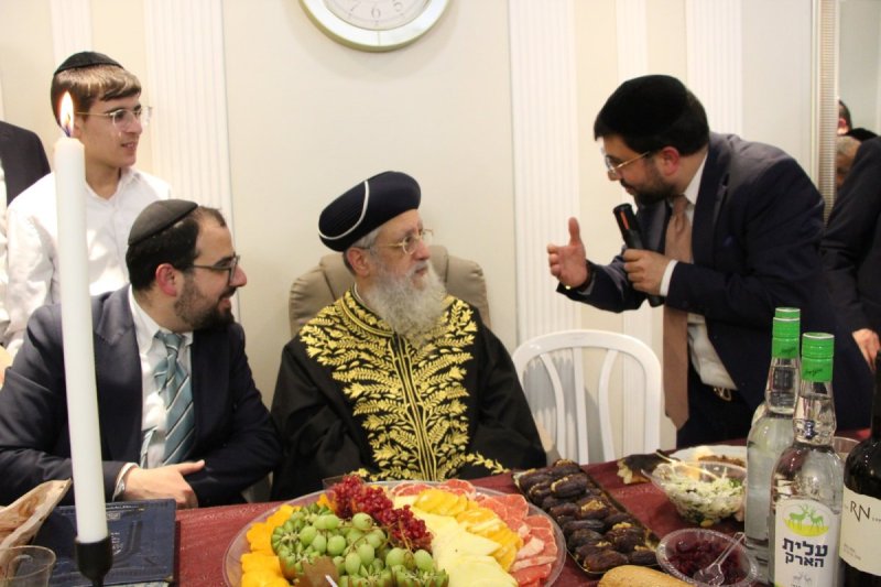 דודי קליין