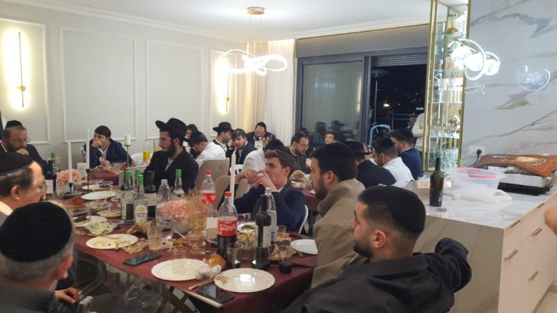 דודי קליין