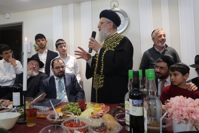 דודי קליין