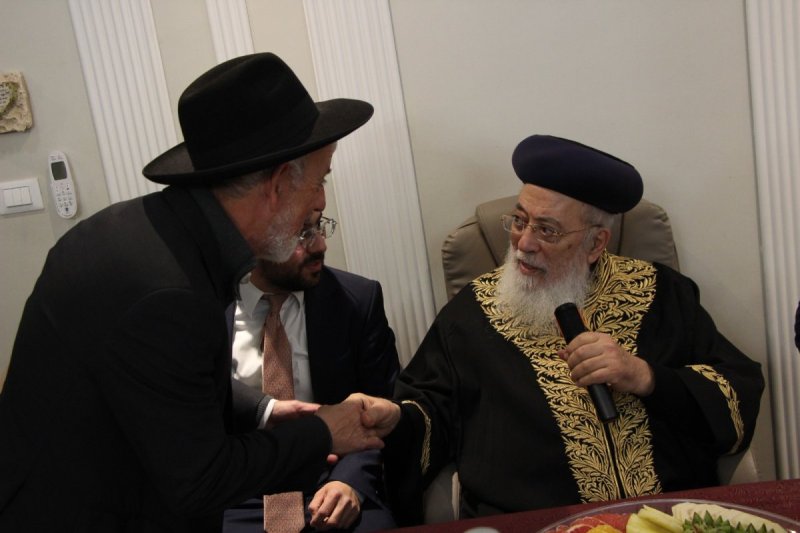 דודי קליין