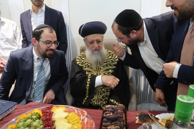 דודי קליין