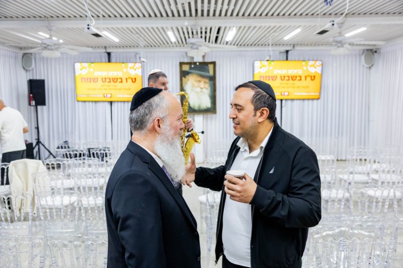 מנדי טויטו