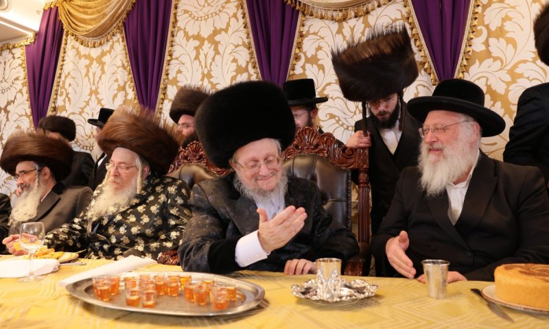שמחה גדולה: חתונת בת הזקונים של האדמו"ר מראדזין