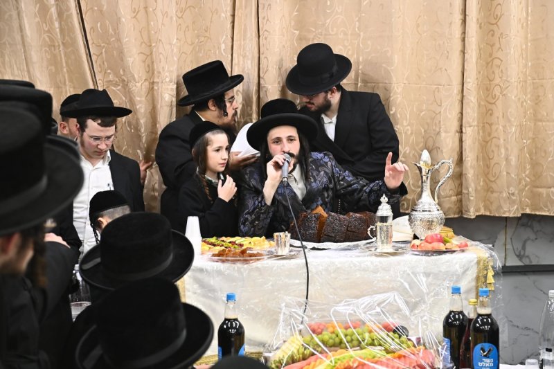 שוקי לרר