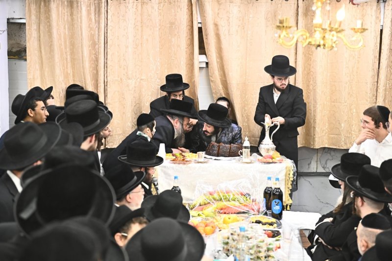 שוקי לרר