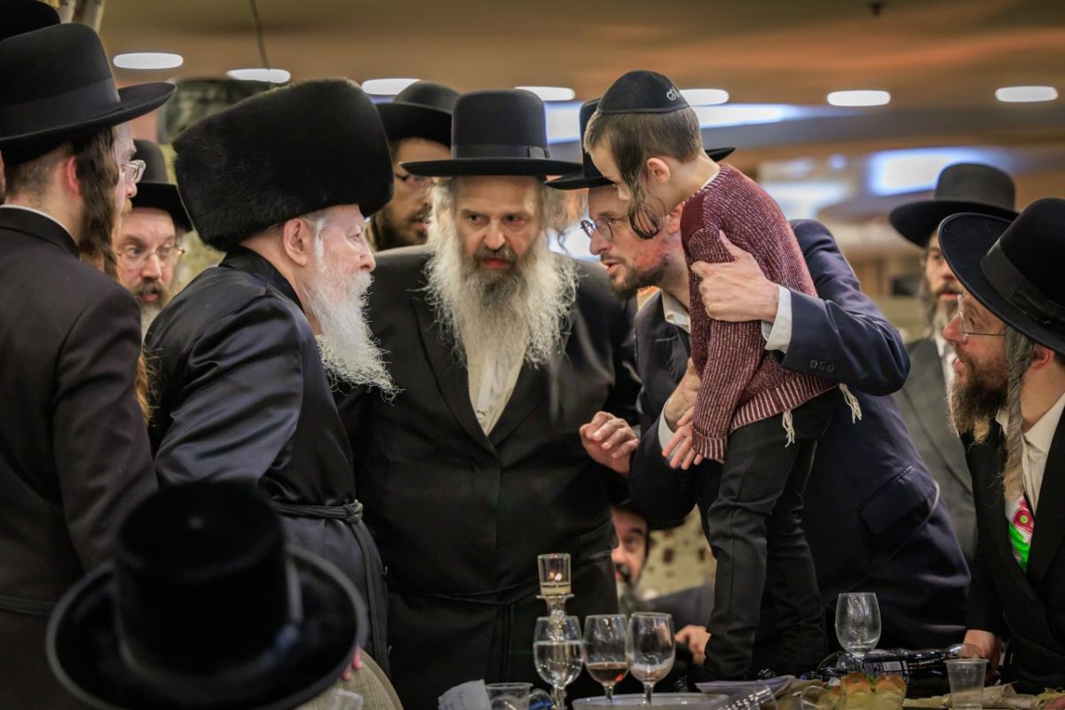 אלי קובין