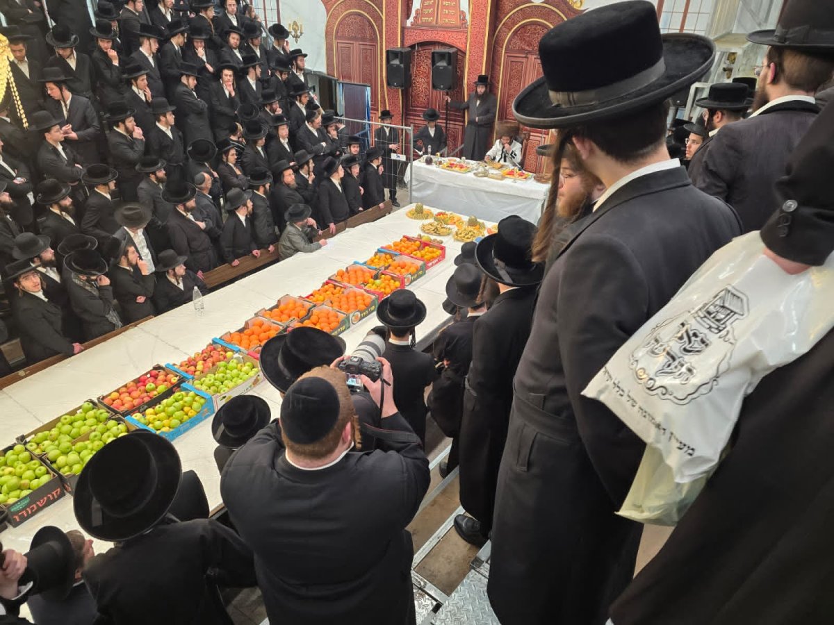 באדיבות המצלם