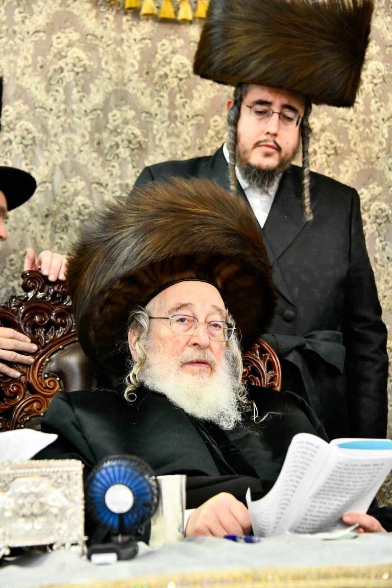שוקי לרר