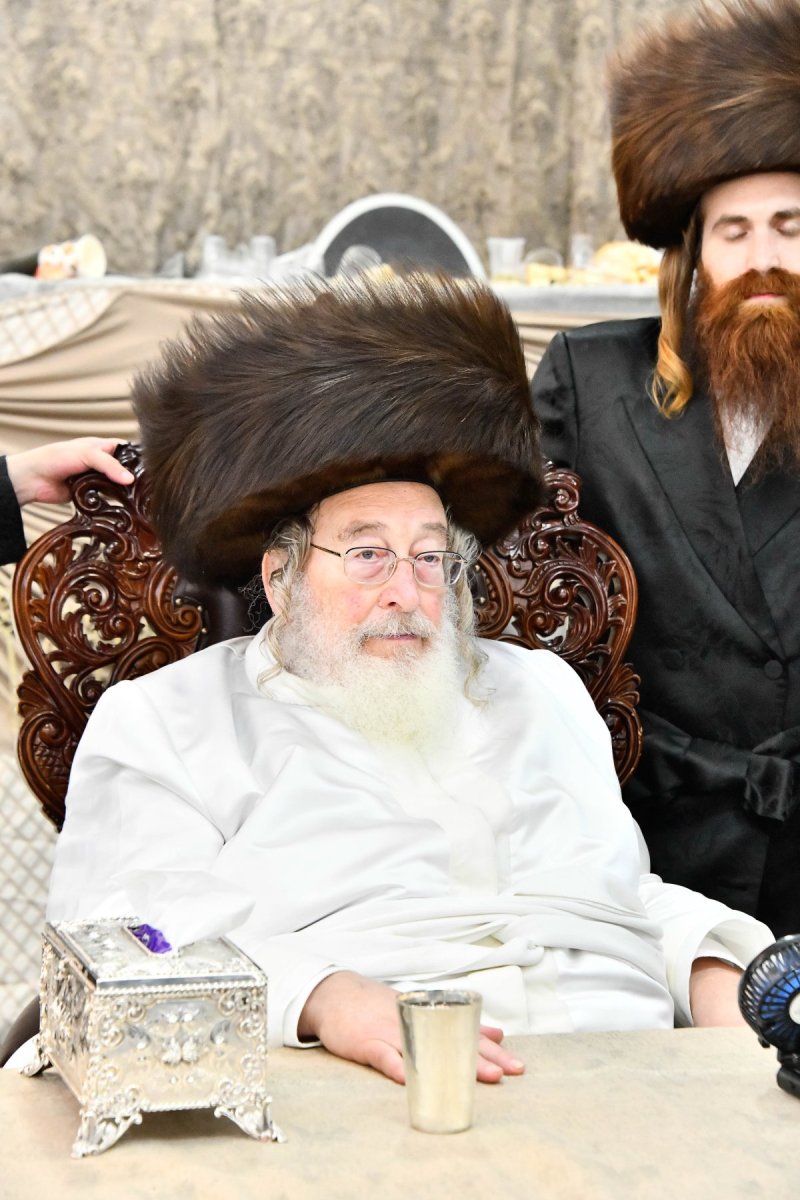 שוקי לרר
