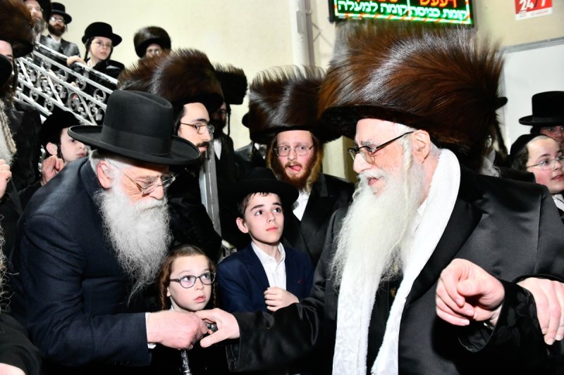 שוקי לרר