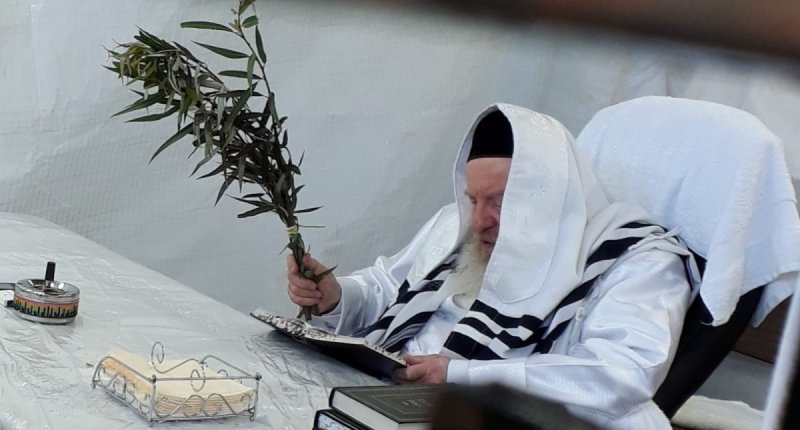 ארכיון די וואך