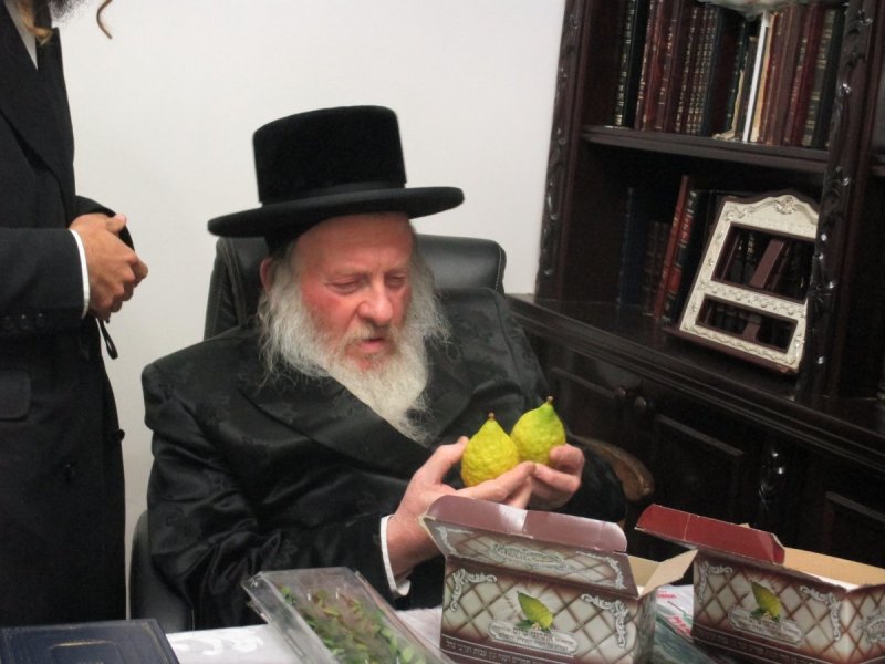 ארכיון די וואך