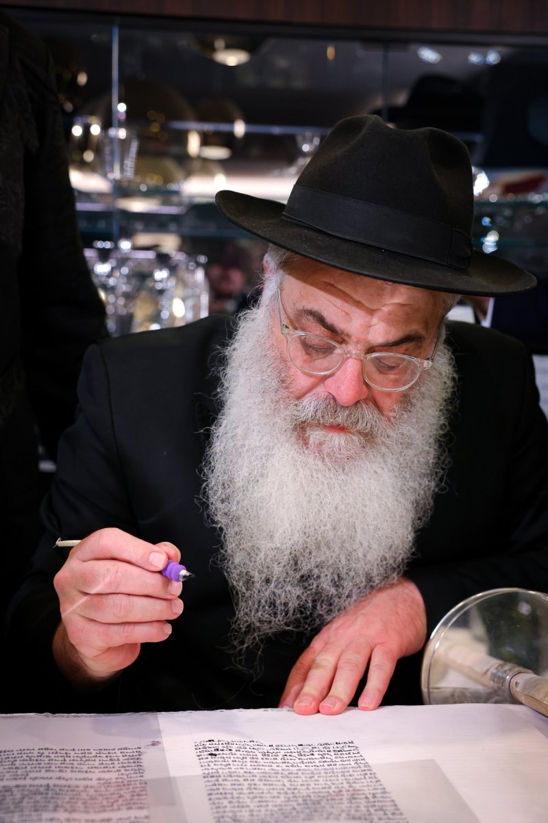 אביב קופל