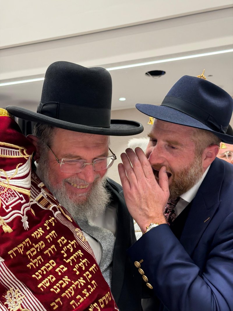 אביב קופל