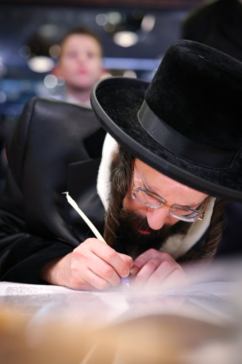 אביב קופל