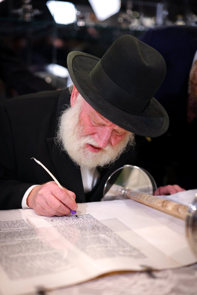 אביב קופל